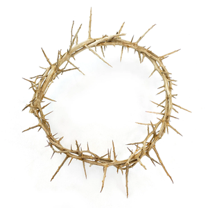 Crown Of Thorns 9"