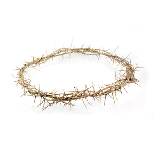 Crown Of Thorns 24”