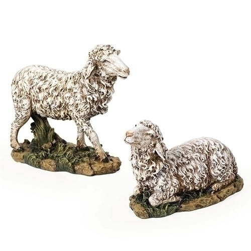 Sheep for colored set