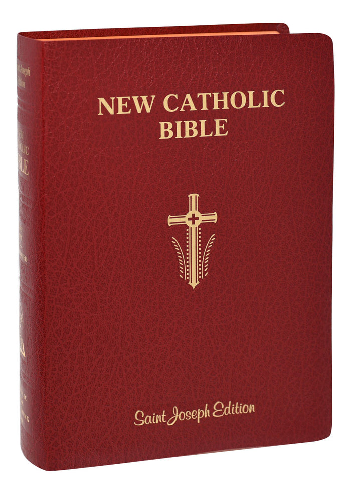The New Catholic Bible